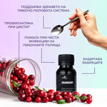 Ползи от прием на тинктура Червена боровинка
