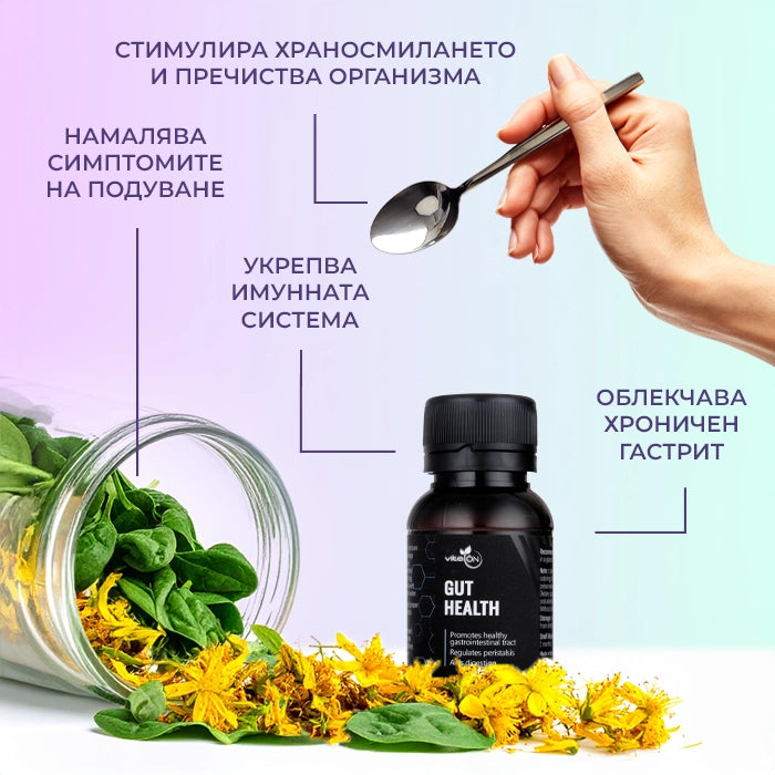 Ползи от приема на тинктура "Чревно здраве"