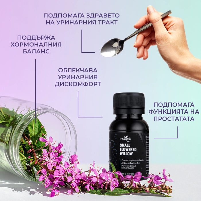 Ползи от приема на тинктура "Дребноцветна върбовка"