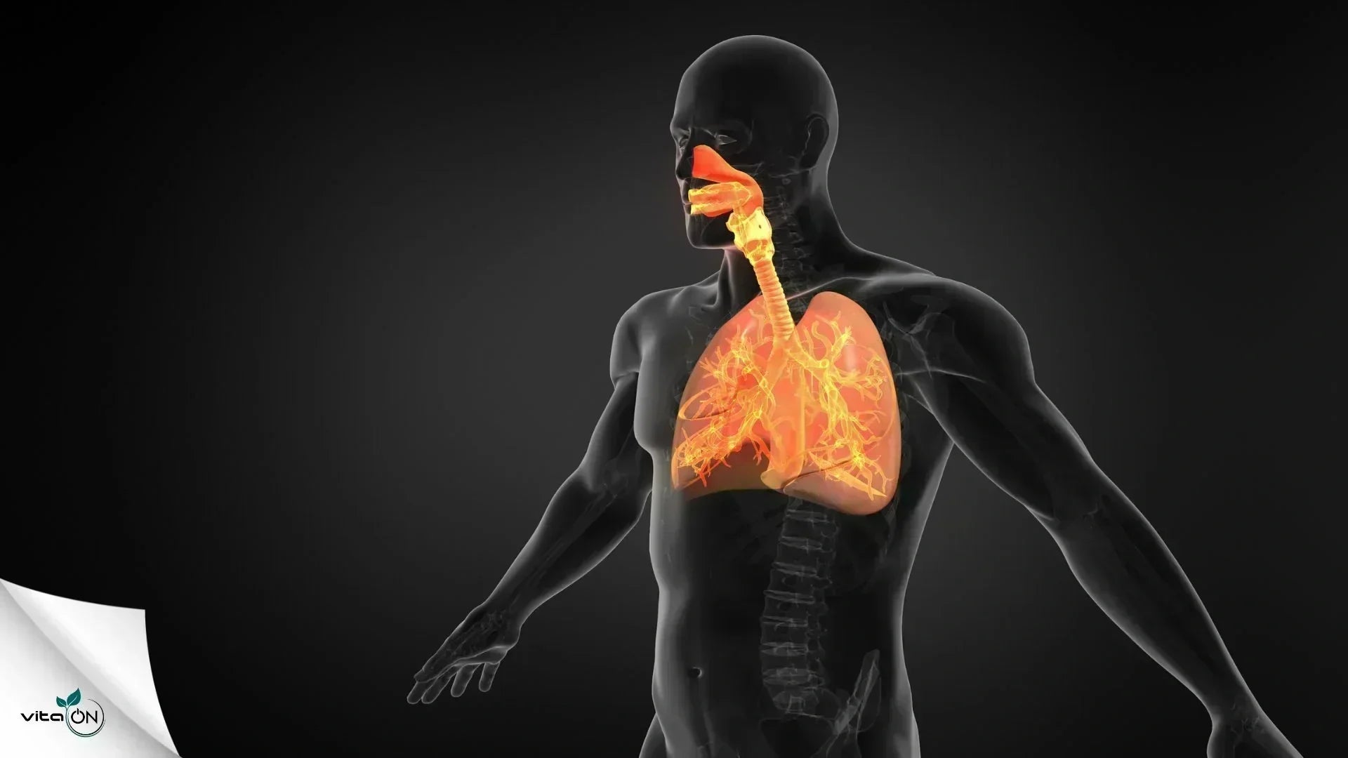 11 болести на дихателната система и техните симптоми