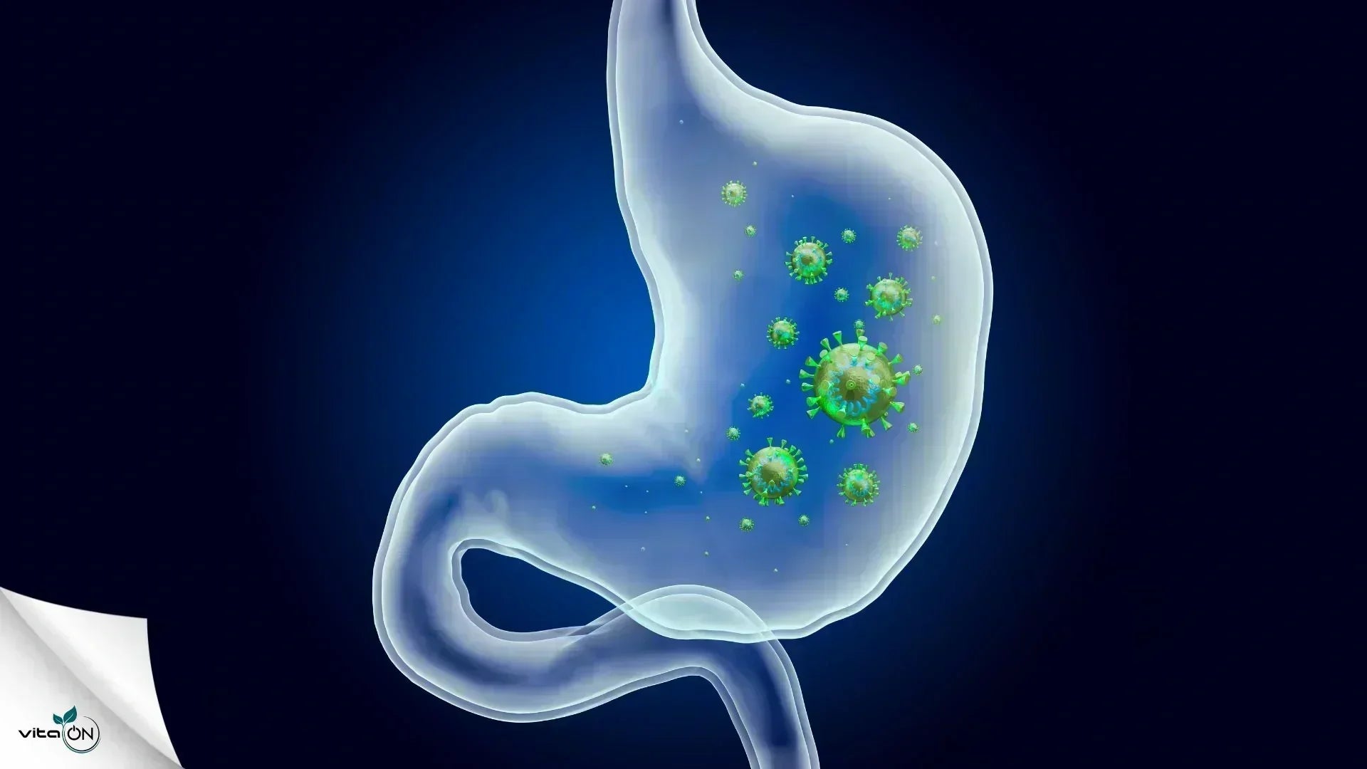 Има ли бърз лек за гастрит: Х бабини рецепти и билки