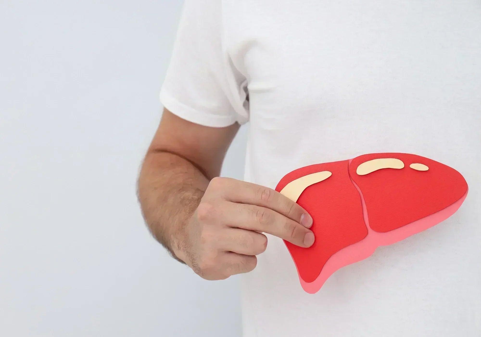 Помага ли черният бъз на черния дроб?