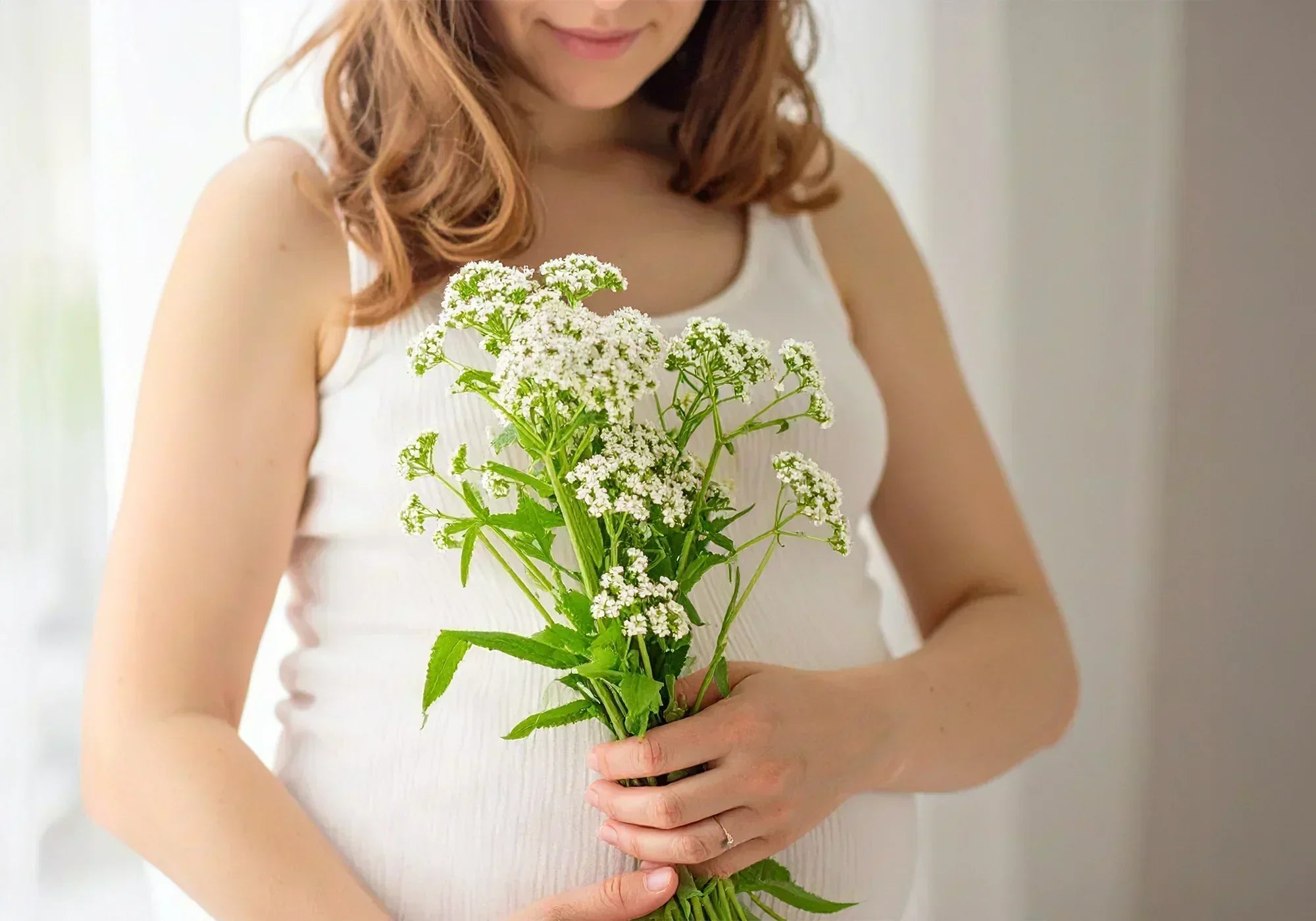 Валериан при бременност